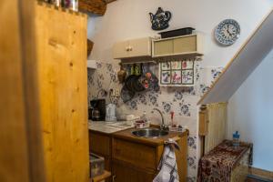 Dapur atau dapur kecil di Dům V Centru