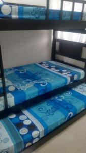 two bunk beds with blue and white sheets on them at Divijuka in Taganga