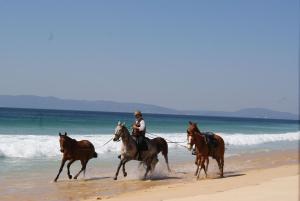 a man riding a horse on the beach at Villa Sequoia - Beach and Lake Private Holidays in Troia