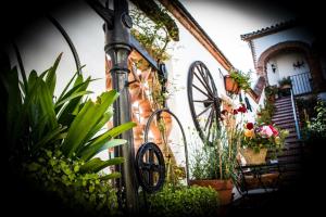 Vonkajšia záhrada v ubytovaní Hotel Rural Andalucia