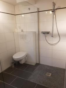 a bathroom with a toilet and a shower at Lounge 1 in Koblenz