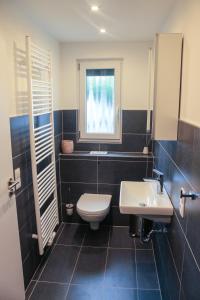 baño con aseo y lavabo y ventana en Kallenhard View Apartments, en Adenau