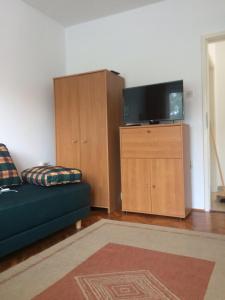 TV a/nebo společenská místnost v ubytování Apartmani Focic