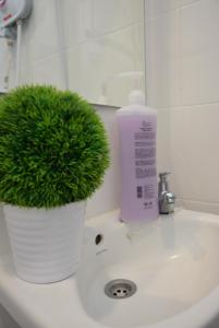 a green plant on a bathroom sink with a bottle of soap at The Baiti in Bandar  Pusat Jengka
