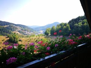 Afbeelding uit fotogalerij van Ferienhof Brutoni in Bad Peterstal-Griesbach