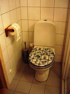 Kylpyhuone majoituspaikassa Nystuen