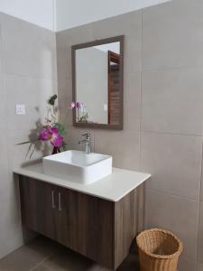Fotografie z fotogalerie ubytování La Maison d'Isa v destinaci Albion + 16 fotografií