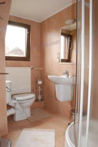 a bathroom with a toilet and a sink at Apartamenty Domek Myśliwski in Karpacz