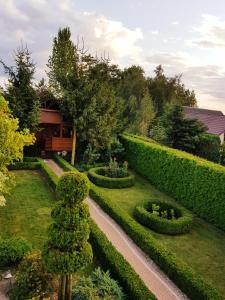 a garden with bushes and hedges and a road at Verde Land - Drewniany domek na wsi in Osiek Mały
