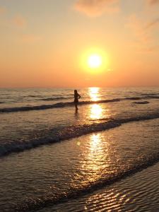 a person walking on the beach at sunset at Swyn y Mor beach close Pet friendly hot tub in Barmouth