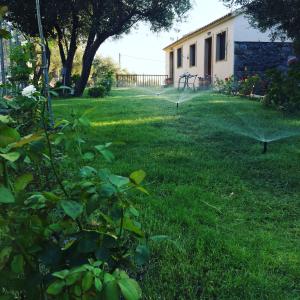 Xiropótamos的住宿－Samothraki Suites Kalisti，草地上长着长凳的院子