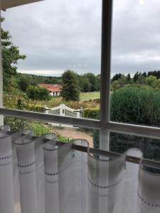 una ventana con vistas a un campo y a los árboles en Ferienwohnung Kraft, en Clausthal-Zellerfeld