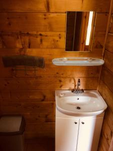 a bathroom with a sink and a mirror at Kempingas "Obuolių sala" in Molėtai