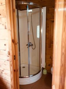a shower with a glass door in a bathroom at Kempingas "Obuolių sala" in Molėtai