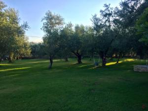 A garden outside Anastasios Olive Garden Apartments