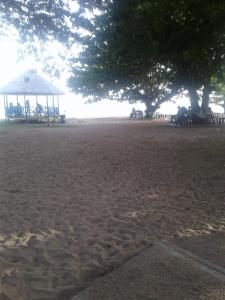 a sandy beach with a gazebo and trees at Barefoot Guest House in Belfast