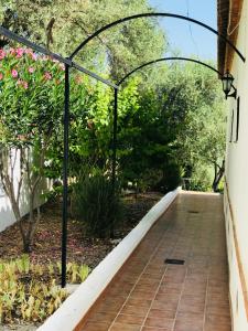 A garden outside Jardin Andaluz Appart Alhambra