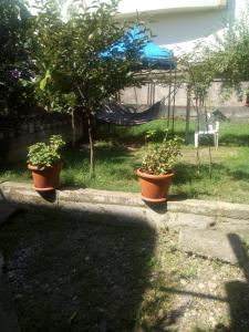 Giardino di Kobuleti Egro House