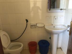 a small bathroom with a toilet and a sink at Red Rock Lalibela Hotel in Lalībela