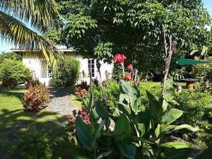 Un jardín fuera de Cabanas Los Colibris Hotel Ecolodge