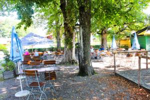 a group of people sitting at tables under a tree at Gasthof Jägerwirt in Hohenschäftlarn