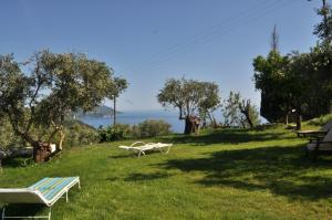 two benches in a field with the ocean in the background at Lemoni Apartments in Pelekas
