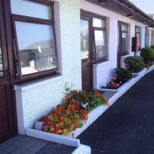 une rangée de fenêtres avec des fleurs sur le côté d'un bâtiment dans l'établissement The Thistle Inn, à Stranraer