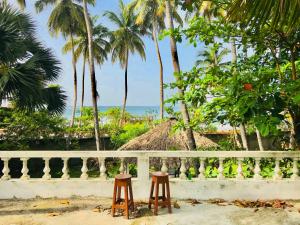 two stools sitting next to a fence with palm trees at hotel florita in Jacmel