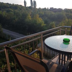 Gallery image of Guest House Ileana in Sapareva Banya +22 photos