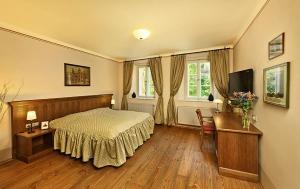Un televizor și/sau centru de divertisment la Hotel Edward Kelly