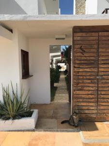 un gatto seduto accanto a una porta di legno di Apê do Fabiano a Jericoacoara