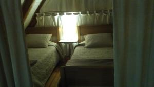 1 dormitorio con 2 literas y ventana en Factotum, en Pichilemu