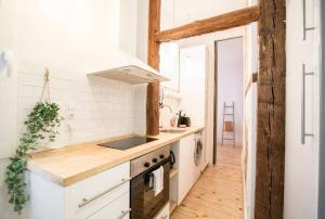 馬德里的住宿－INTIMATE AND ARTISTIC FLAT WIFI PUERTA DEL SOL，厨房配有白色橱柜、水槽和炉灶。