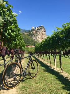 Gambar di galeri bagi Casa Torboli di Arco