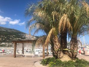 a palm tree and a pavilion on a beach at le petit bateau in Menton