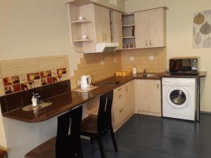 a kitchen with a counter and a washing machine at Town Center Studio Apartment in Daugavpils +12 photos