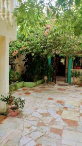 a courtyard with plants and flowers on a building at Apartahotel carla in Boca Chica