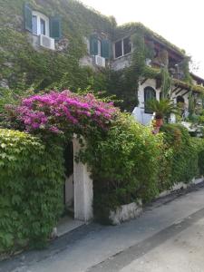 um edifício com flores roxas ao lado em Casa Malo' em Ischia
