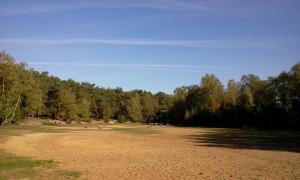 een groot open veld met vliegers bij Ferme Lenfant in Ville-Pommeroeul