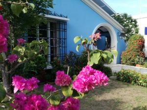 una casa azul con flores rosas delante en La casa azul en Cartagena de Indias