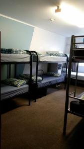 a room with three bunk beds and a ladder at Loft 109 Backpackers Hostel in Tauranga