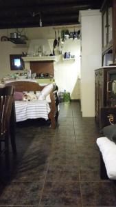 a dog laying on a bed in a room at Window To The Aegean in Velanídhia +26 photos