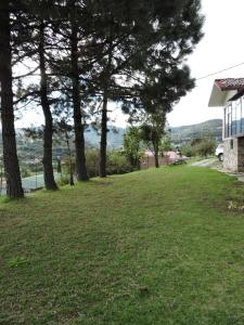 einen Rasenplatz mit Bäumen und einem Haus in der Unterkunft Cabañas- Casas España in Mineral del Chico