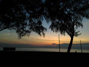 een boom op het strand met een zonsondergang op de achtergrond bij Homestay Memori in Dungun