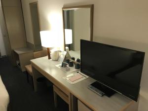 TV a/nebo společenská místnost v ubytování Chisun Hotel Kamata