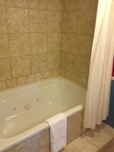 a bathroom with a bath tub with a white shower curtain at The Artisan Suites in Hopewell Cape