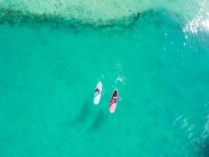 a couple of people on surfboards in the water at Tropica Island Resort-Adults Only in Malolo