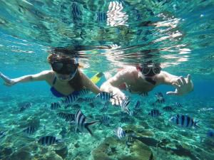 Гости Tropica Island Resort-Adults Only