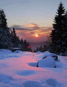 einen Sonnenuntergang, bei dem die Sonne über einem schneebedeckten Wald aufgeht in der Unterkunft Ferienwohnung Wurmberg Domizil in Braunlage