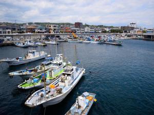 een groep boten is aangemeerd in een haven bij Fukushimakan in Hakone